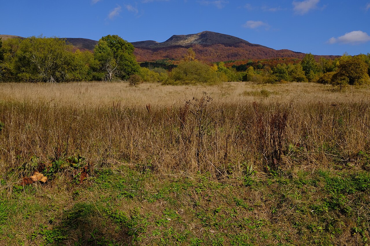 Bieszczady National Park