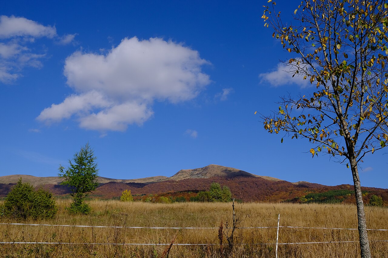 Bieszczady National Park
