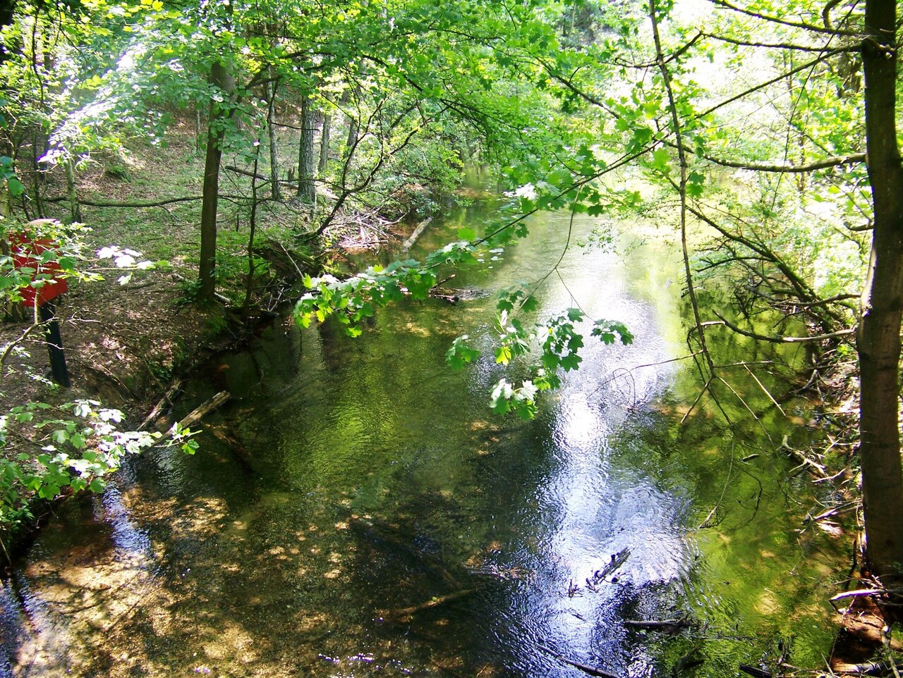 Drawa National Park