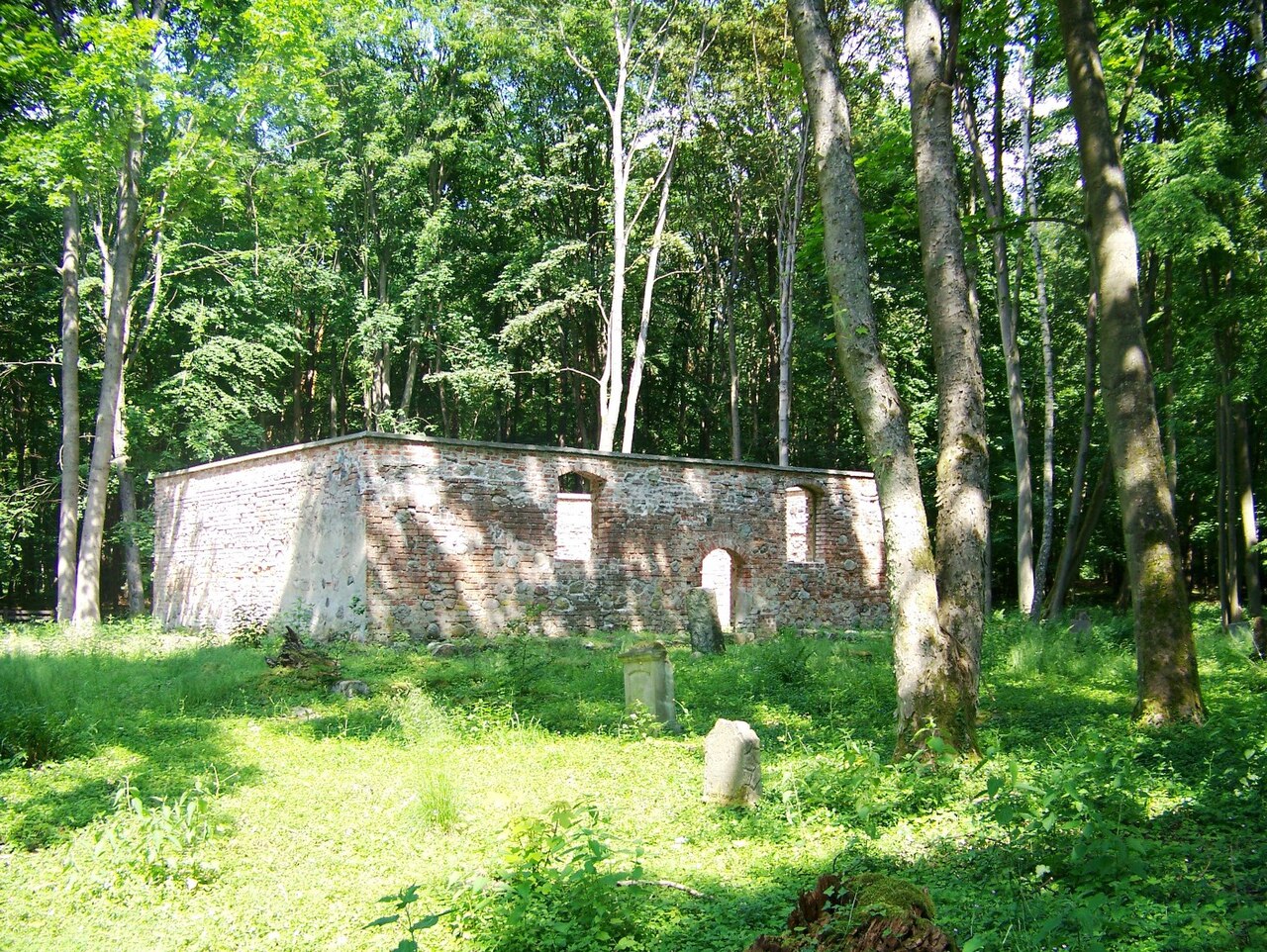 Drawa National Park
