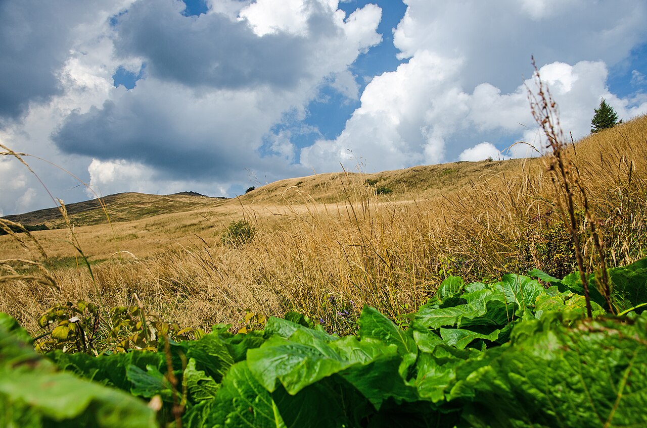 East Carpathian Biosphere Reserve