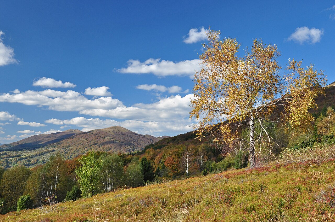 East Carpathian Biosphere Reserve