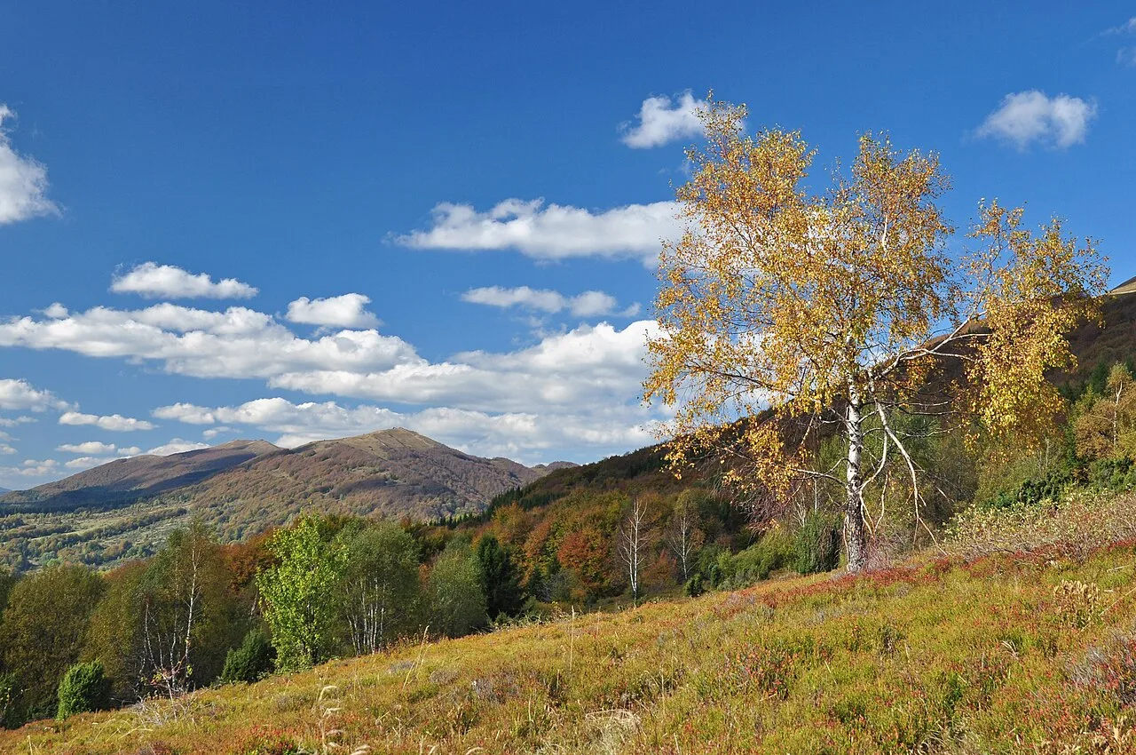 East Carpathian Biosphere Reserve