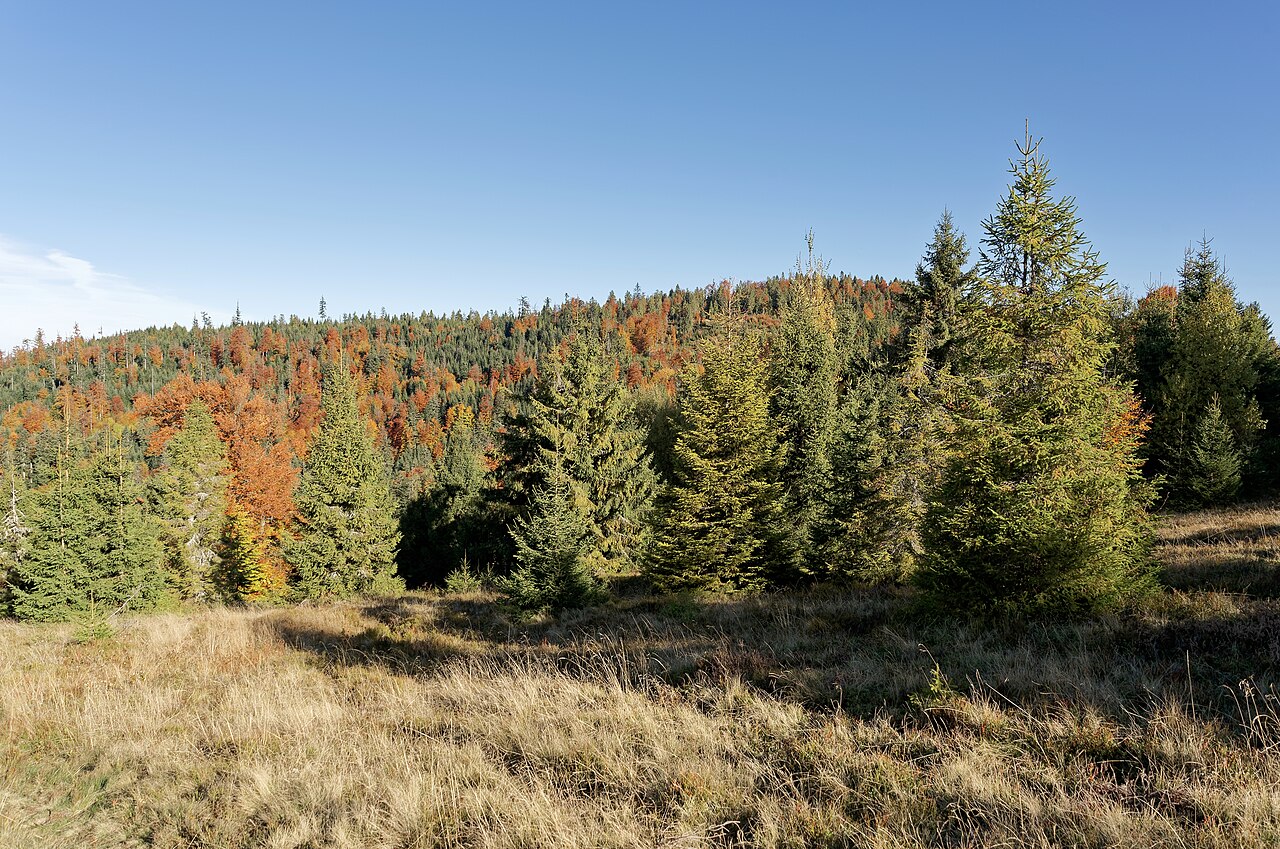 Gorce Mountains