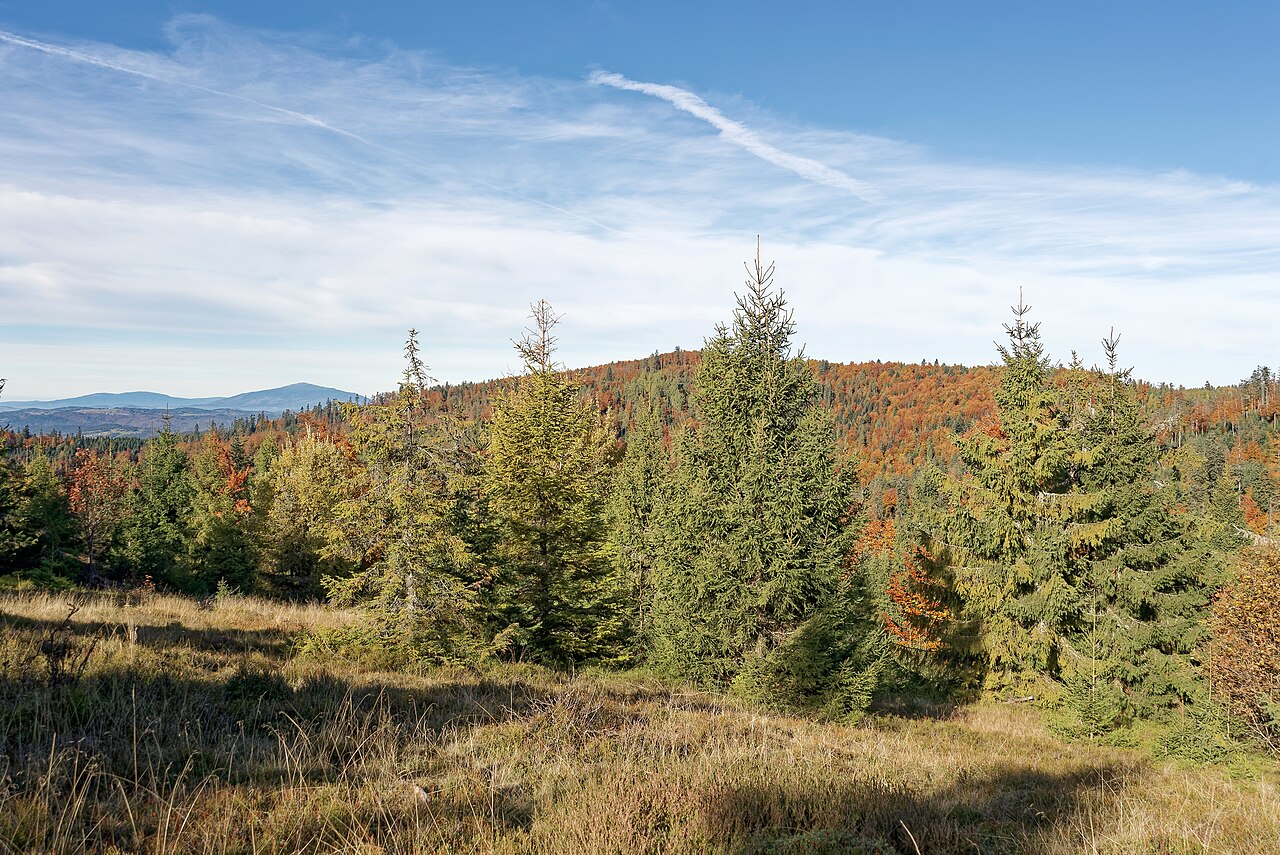 Gorce Mountains