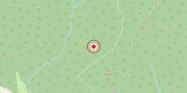 Street map of the area around Carpathian National Nature Park; the red dot marks 48°22′59″N 24°32′38″E