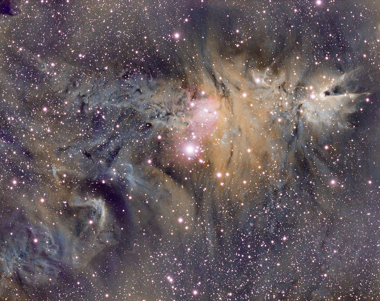 Cone Nebula