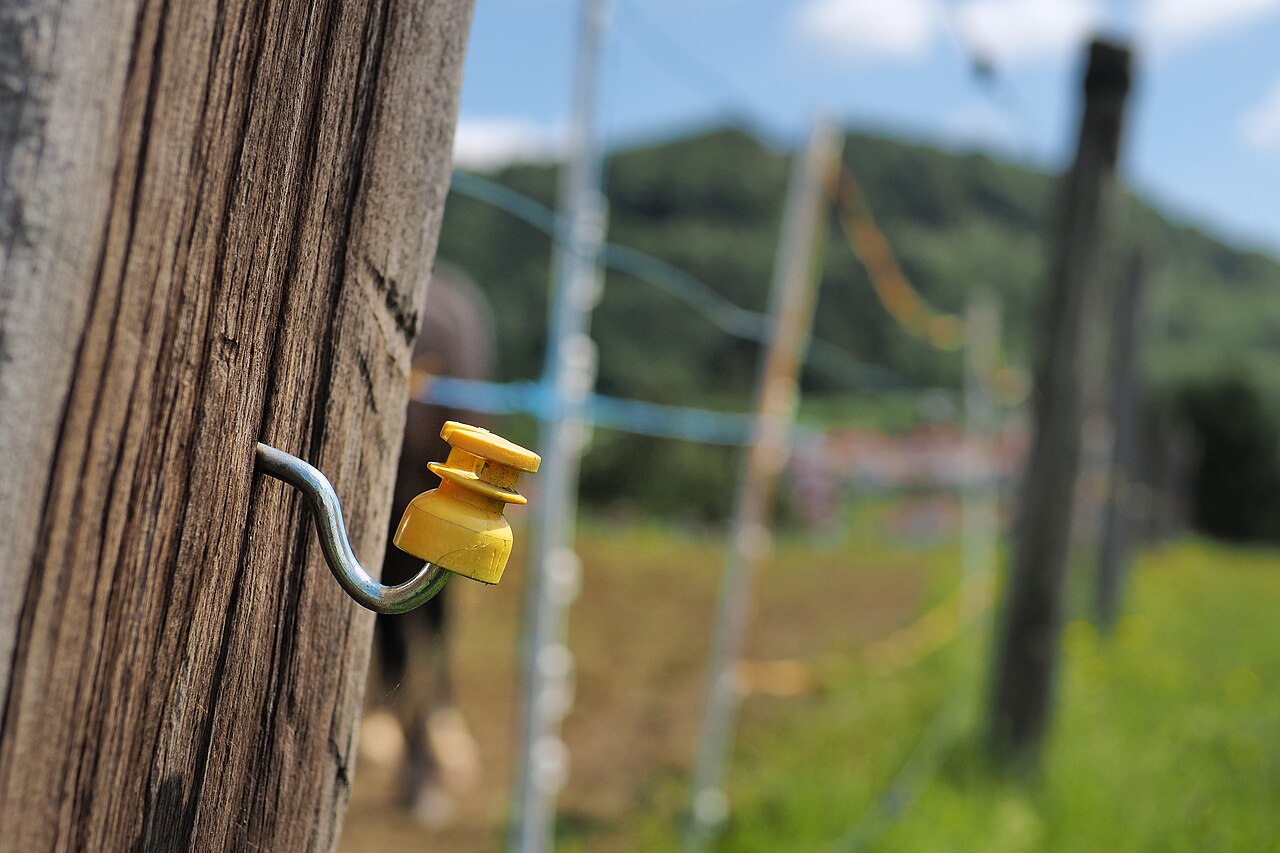 Electric fence