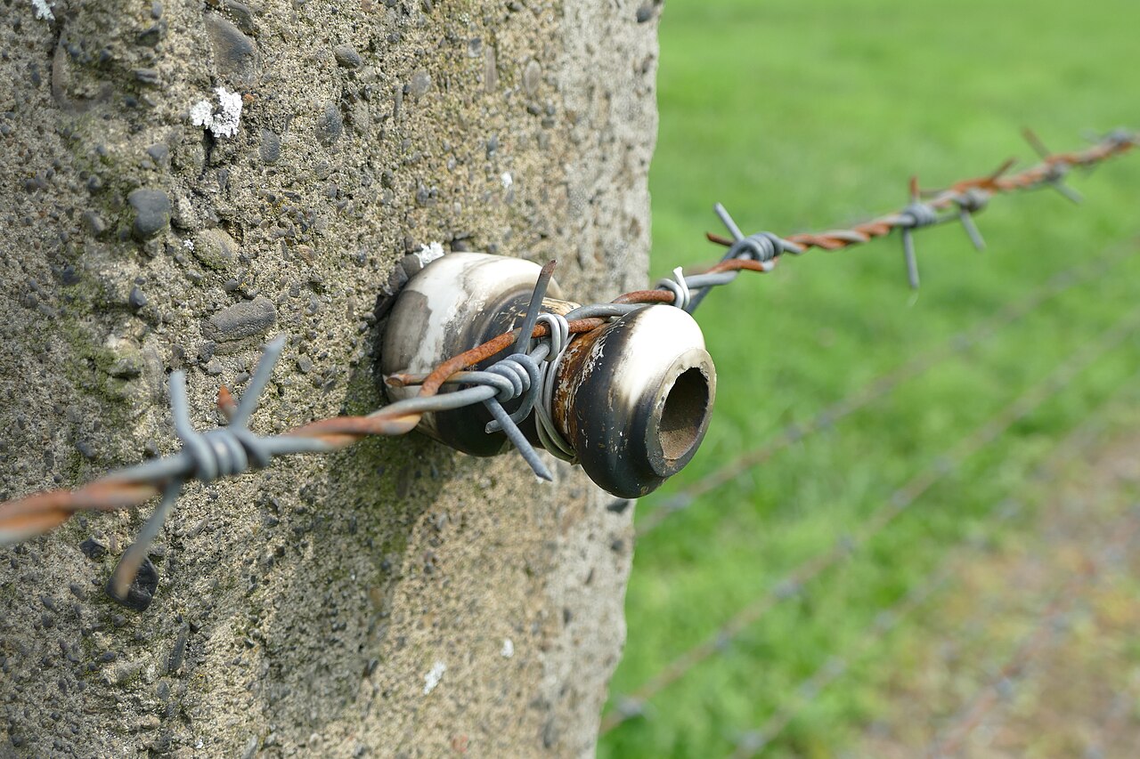 Electric fence