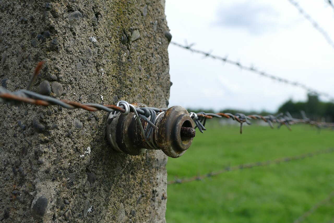 Electric fence