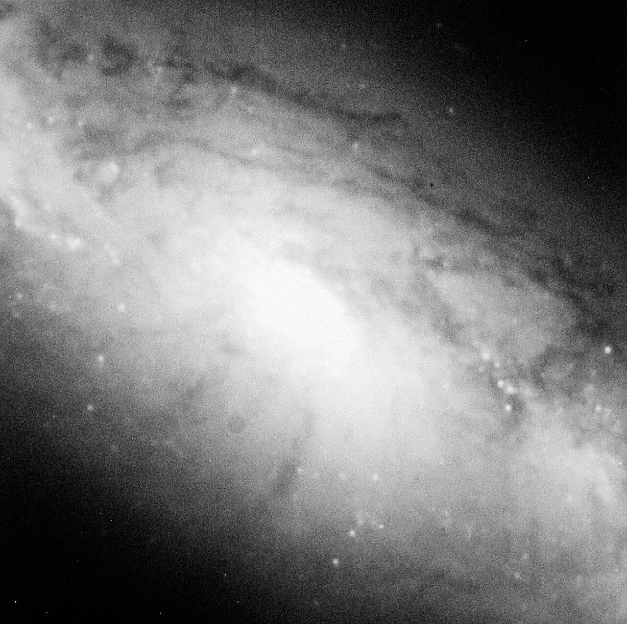 NGC 1808