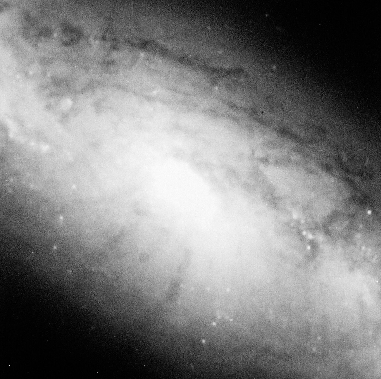 NGC 1808