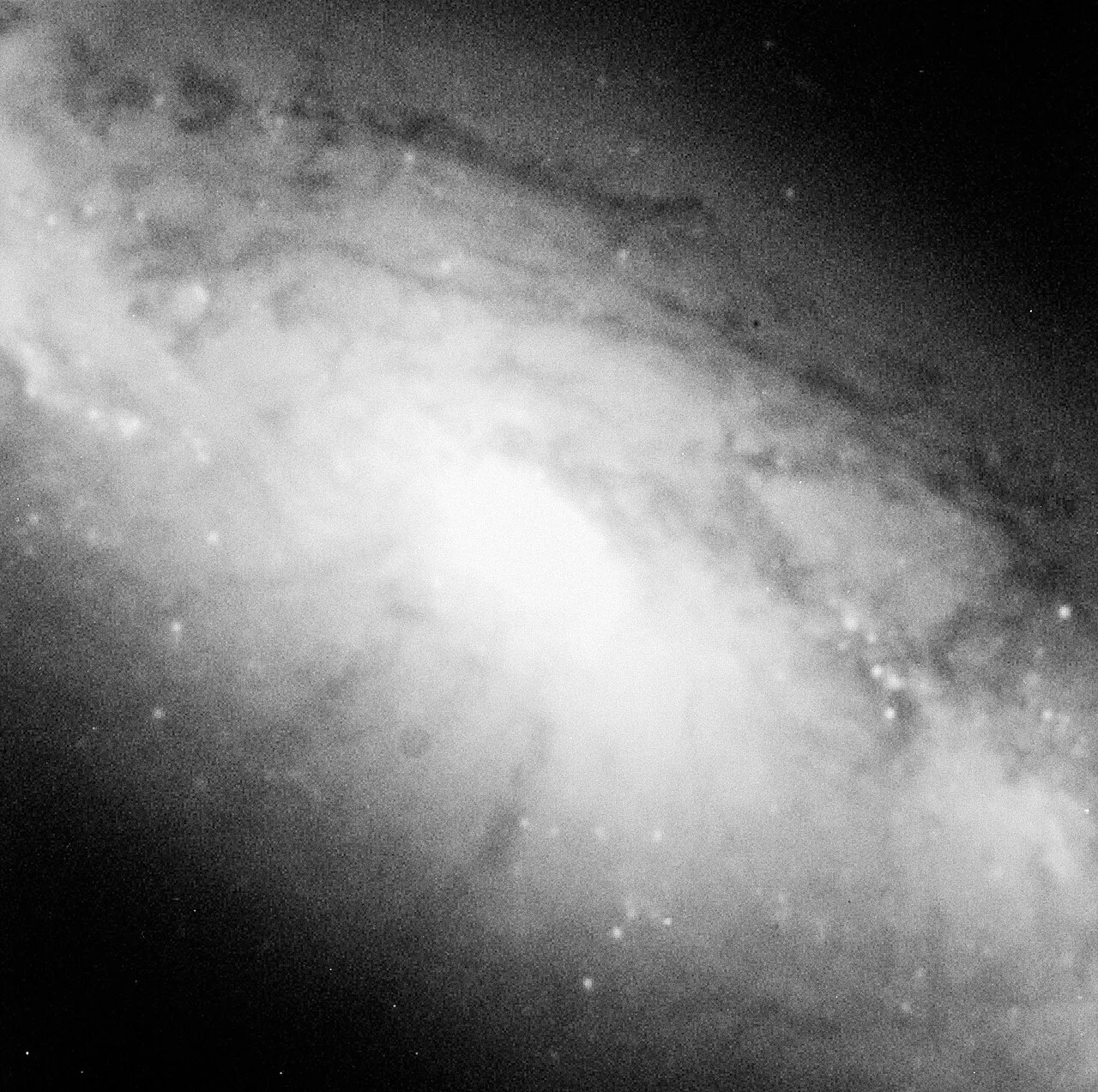NGC 1808