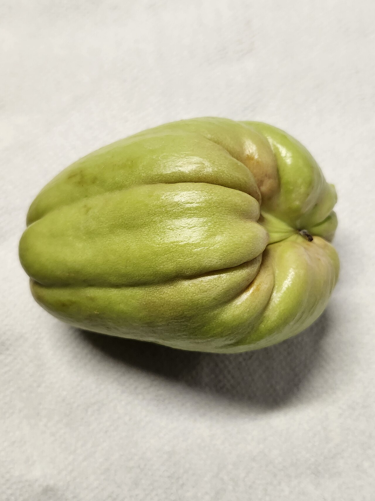 Chayote