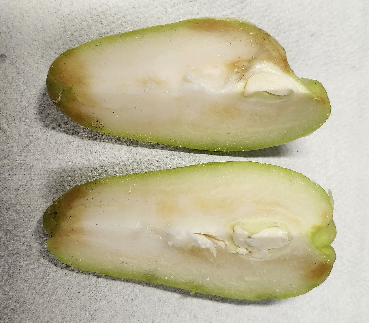 Chayote