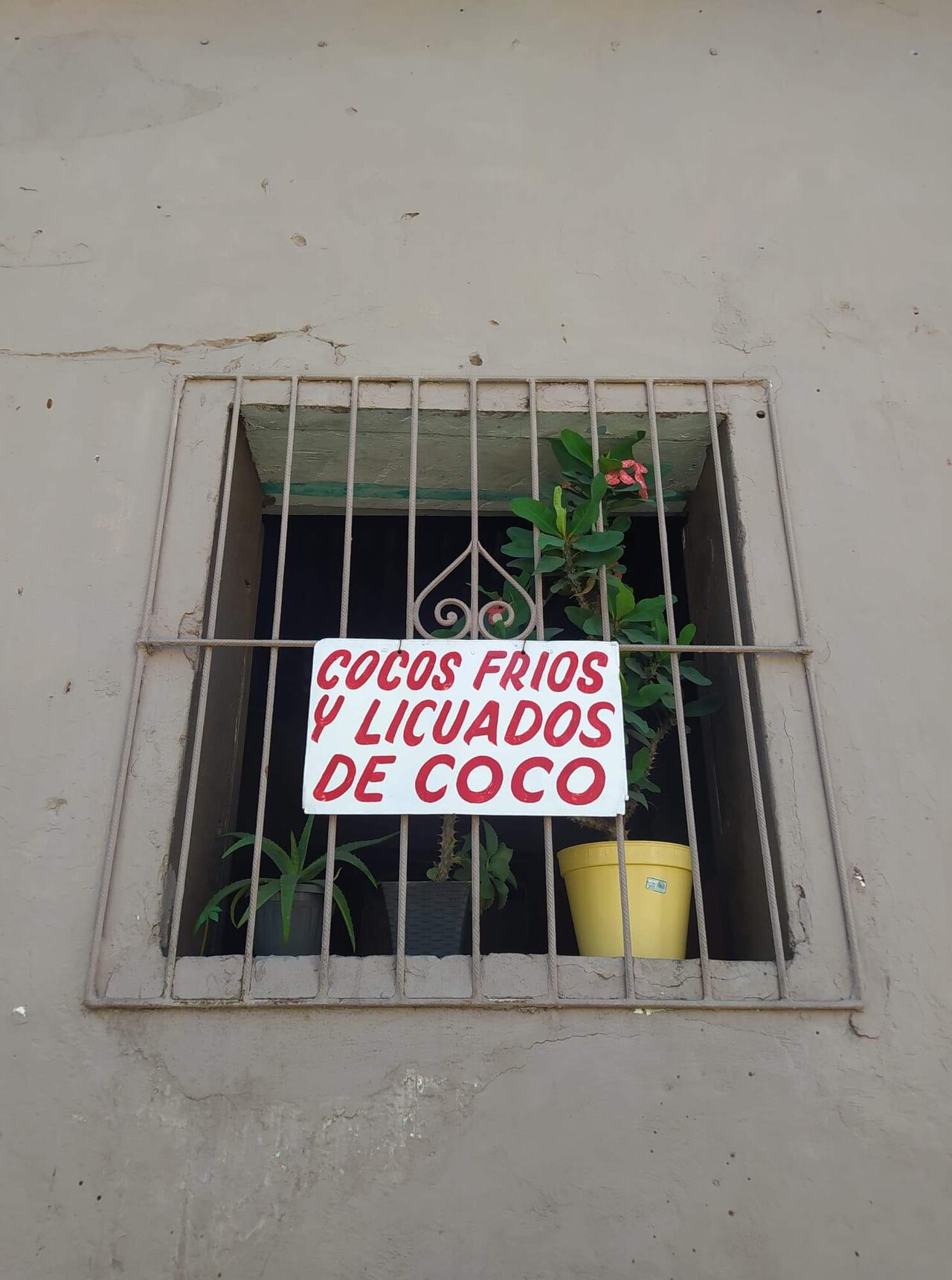 Licuado