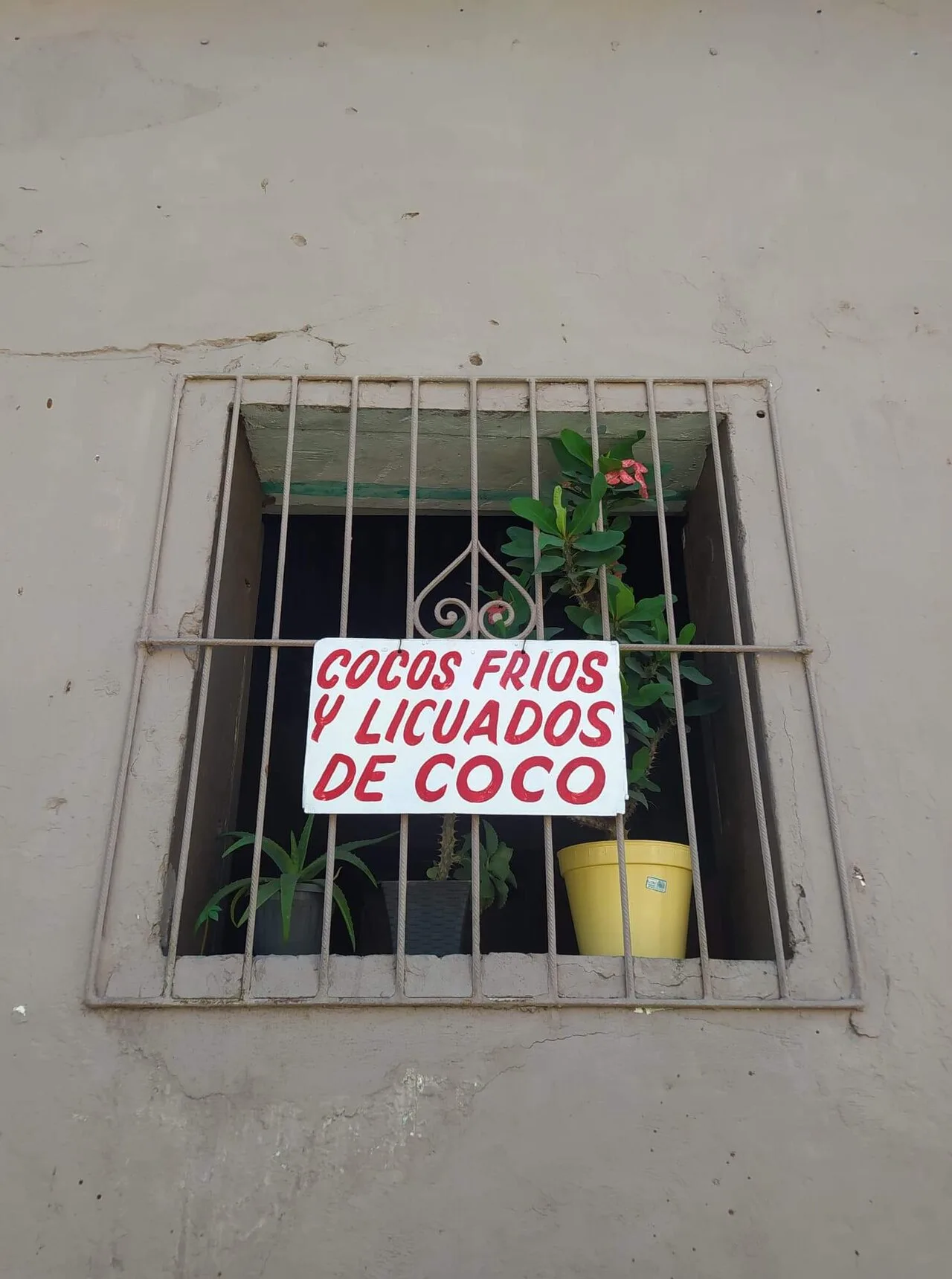 Licuado