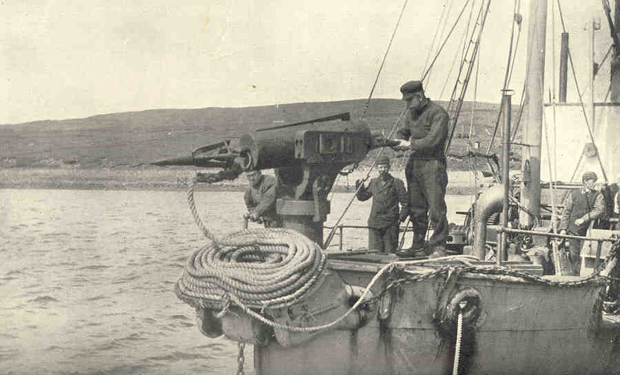 Harpoon cannon