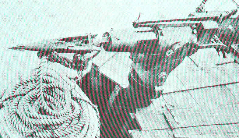 Harpoon cannon