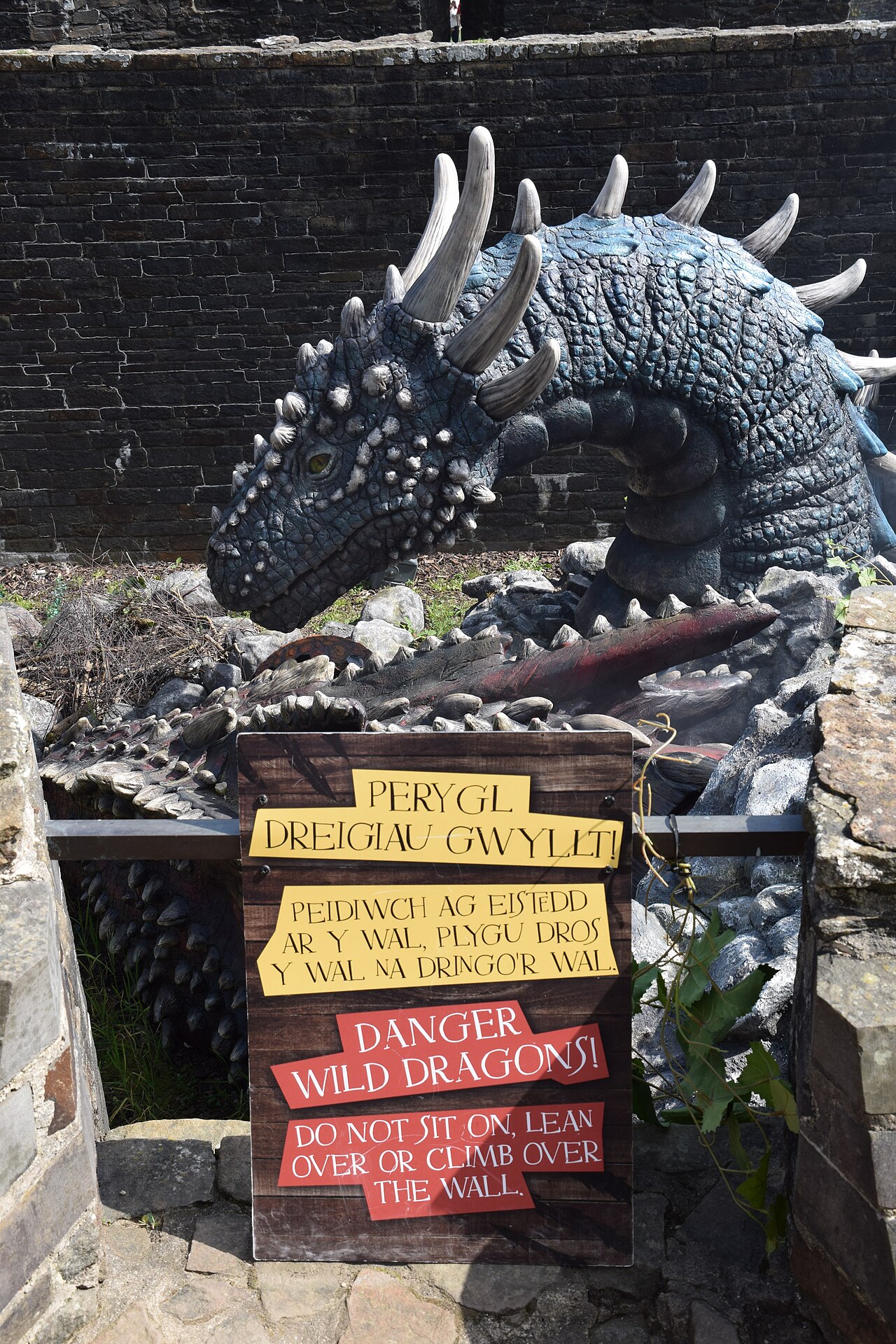 Here There Be Dragons