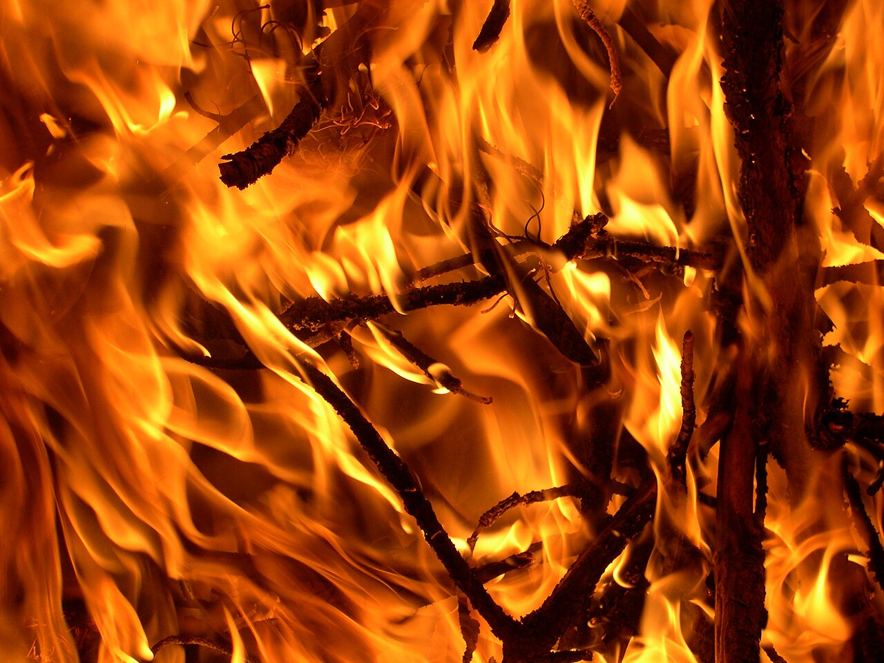 Dies the Fire