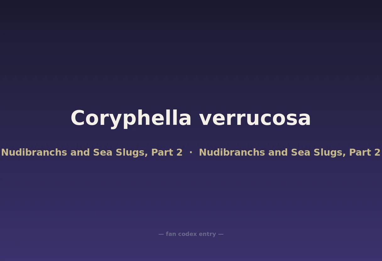Coryphella verrucosa