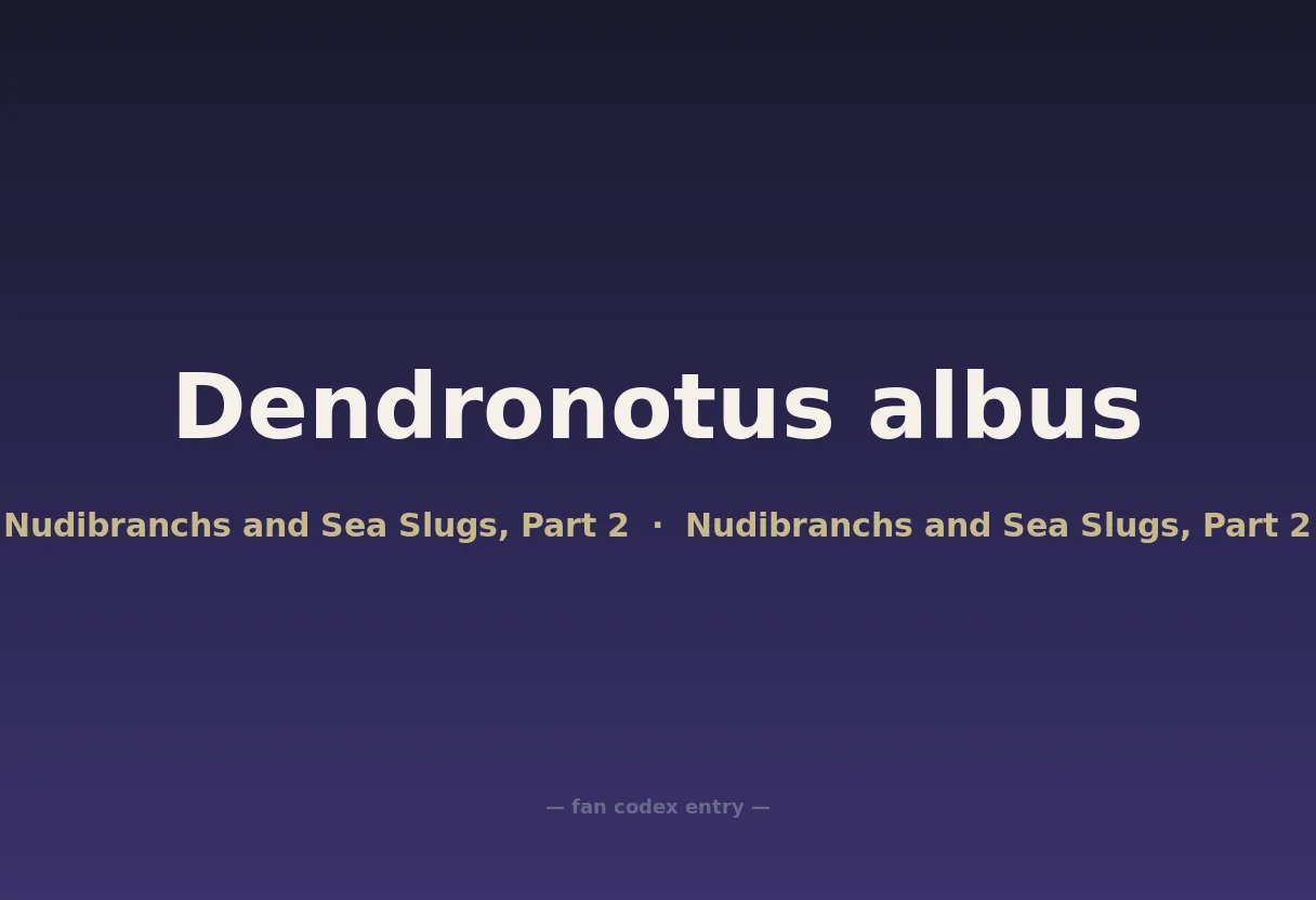 Dendronotus albus