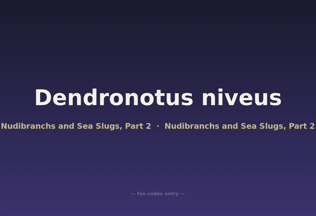 Dendronotus niveus