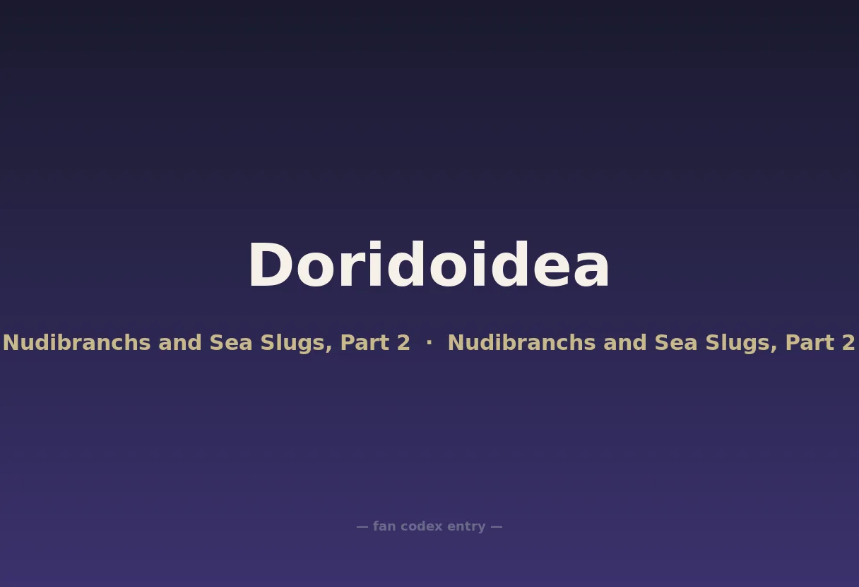 Doridoidea