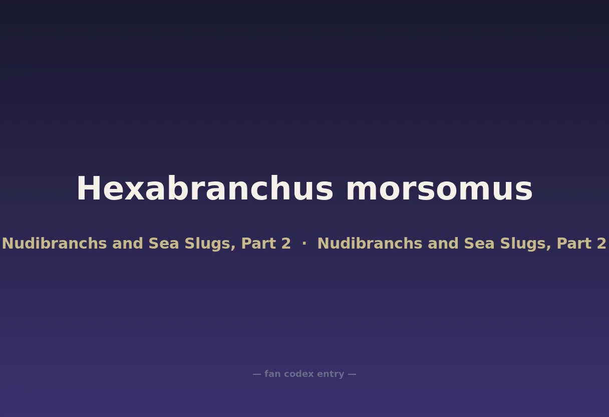 Hexabranchus morsomus