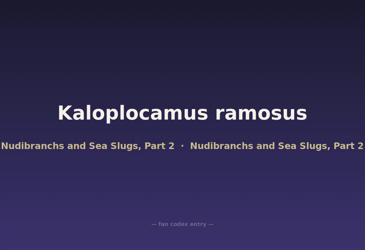 Kaloplocamus ramosus