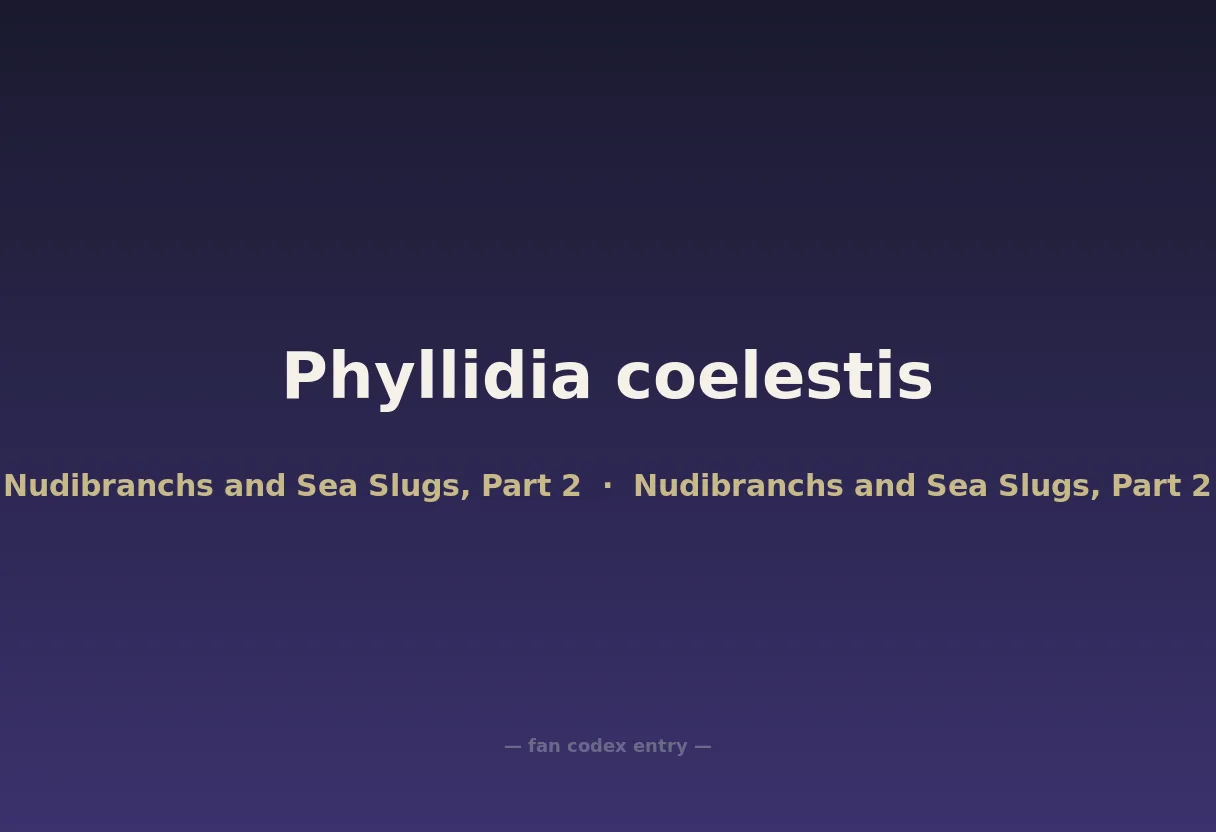 Phyllidia coelestis