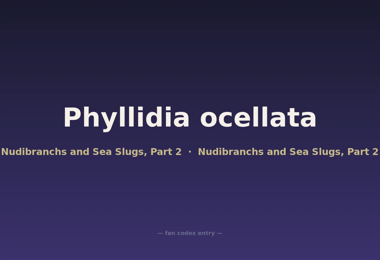 Phyllidia ocellata