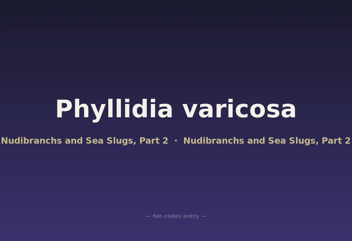 Phyllidia varicosa