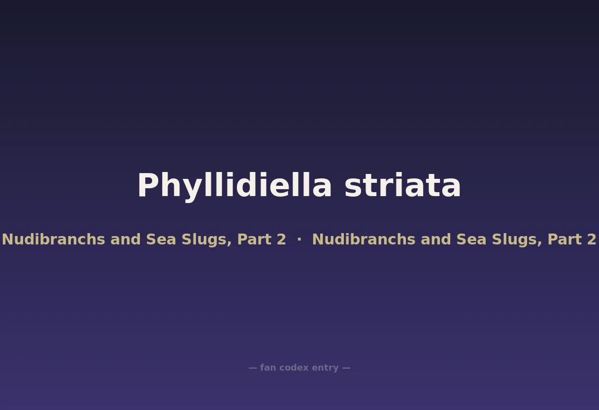 Phyllidiella striata