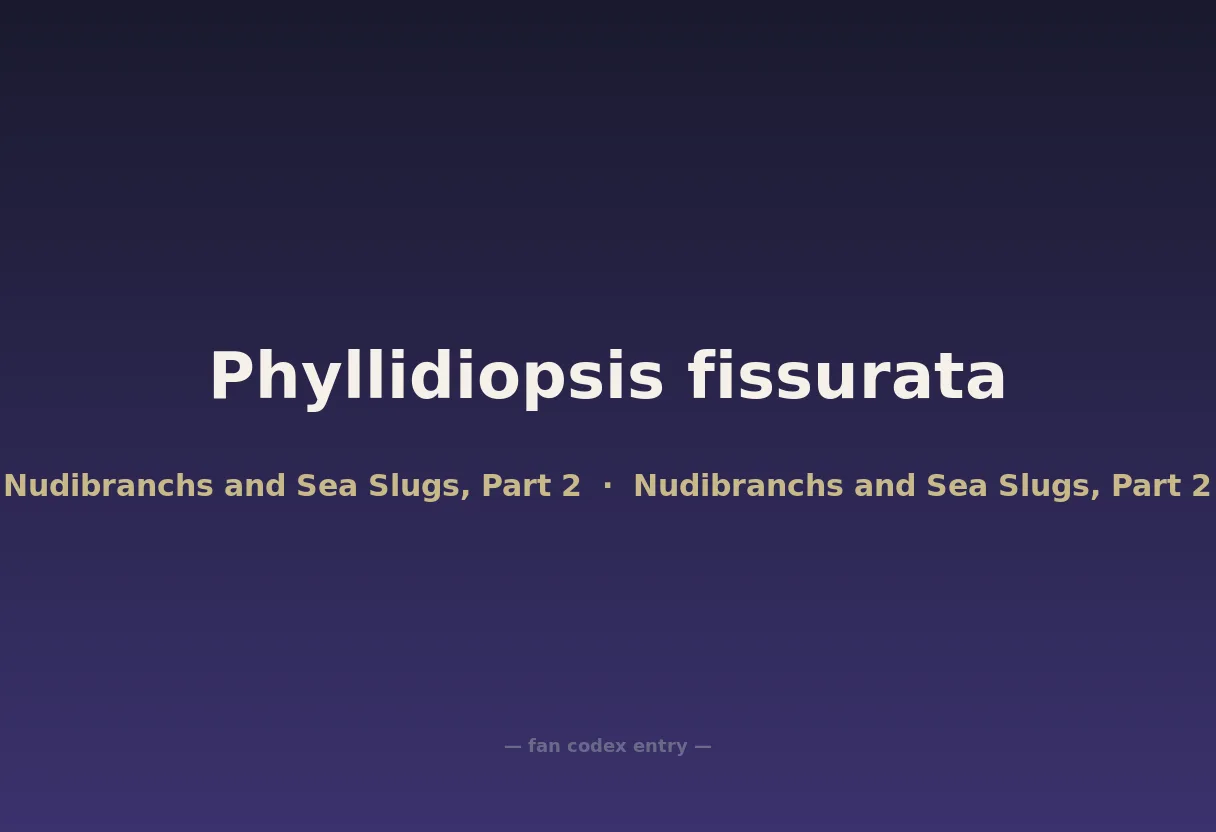 Phyllidiopsis fissurata