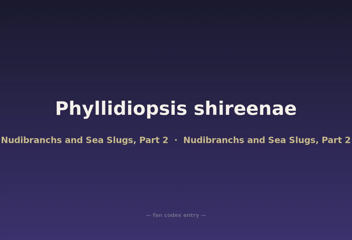 Phyllidiopsis shireenae