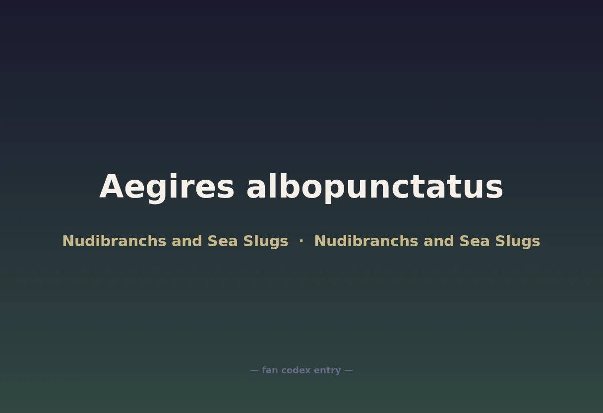 Aegires albopunctatus