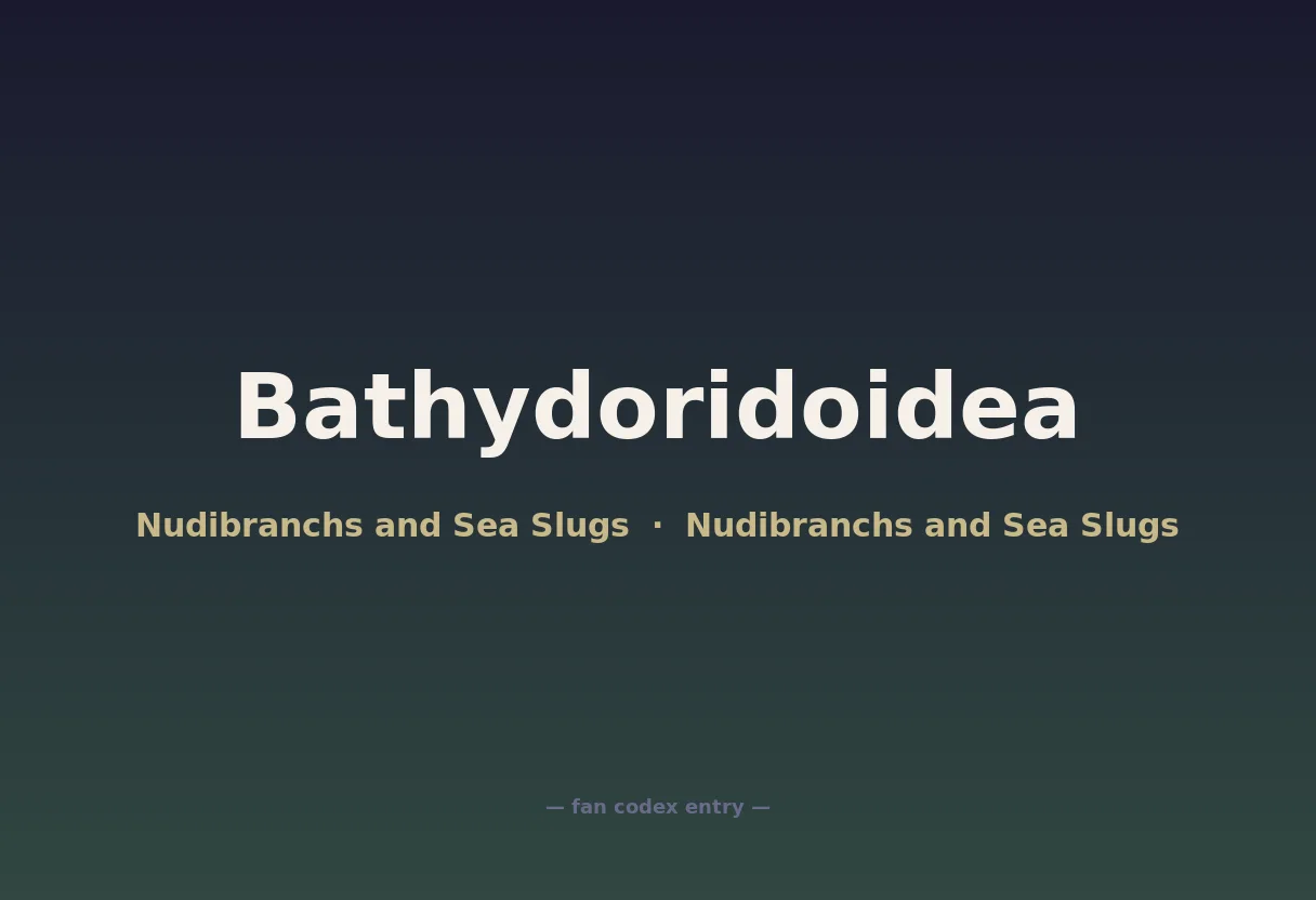 Bathydoridoidea