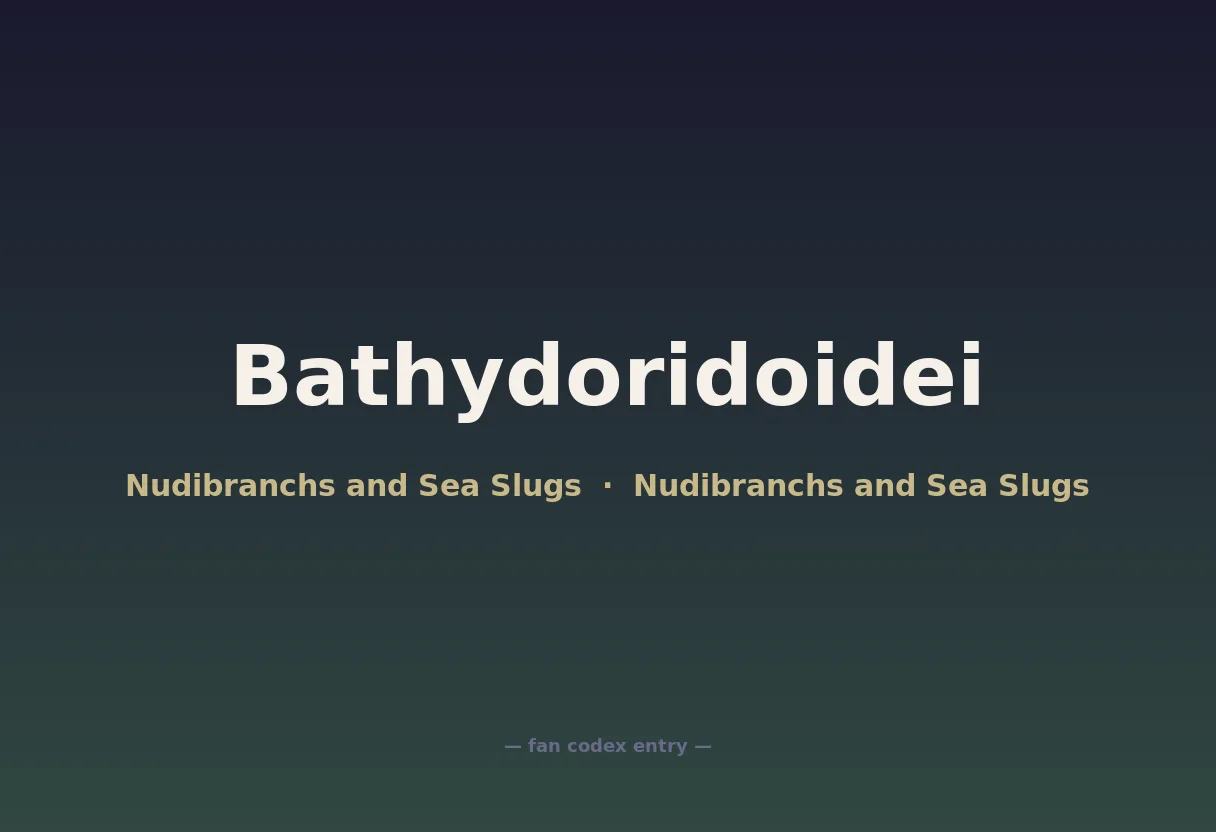 Bathydoridoidei