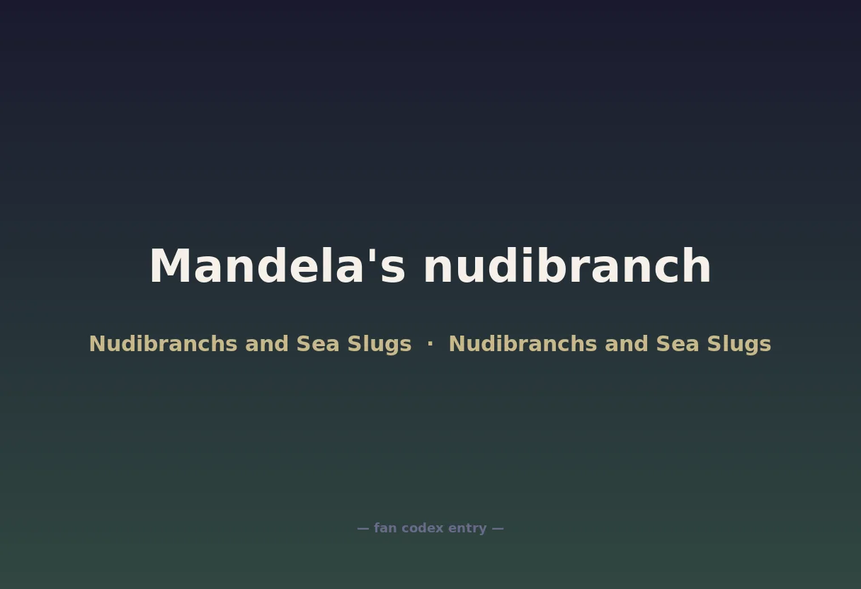 Mandela's nudibranch