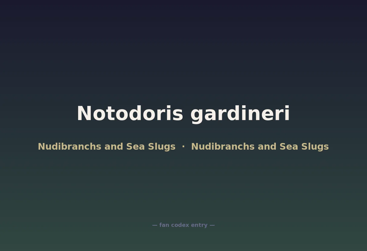 Notodoris gardineri