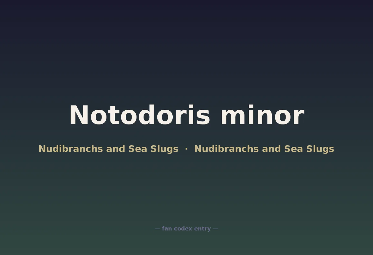 Notodoris minor