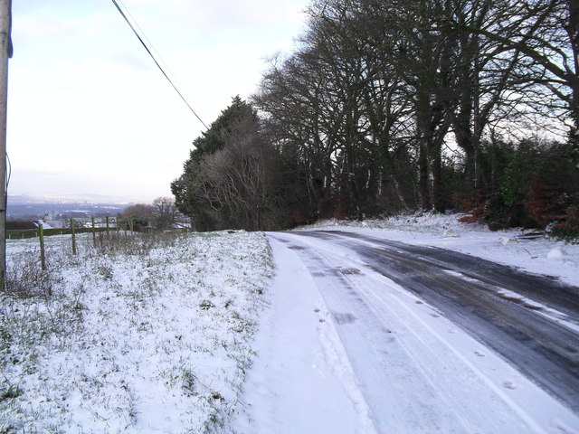 The Down Hill Strugglers