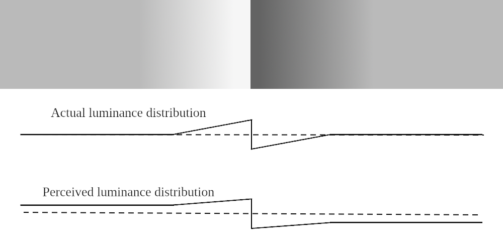 Luminance