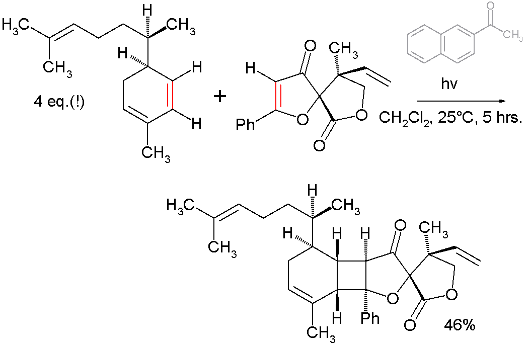 Convergent synthesis