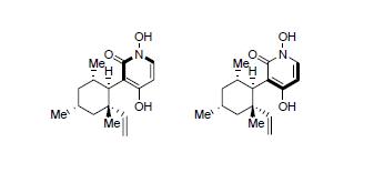 Diastereomer
