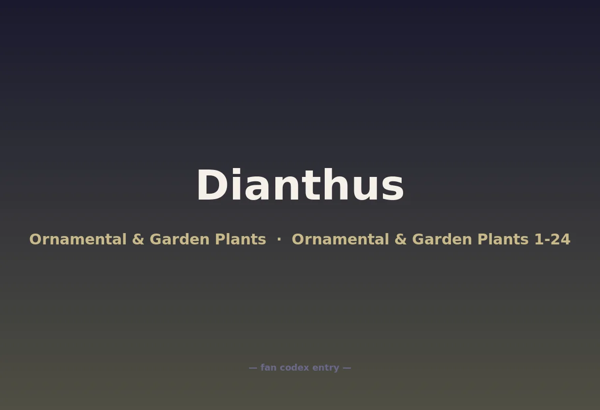 Dianthus