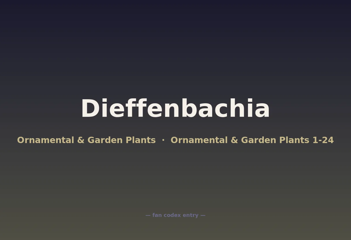 Dieffenbachia