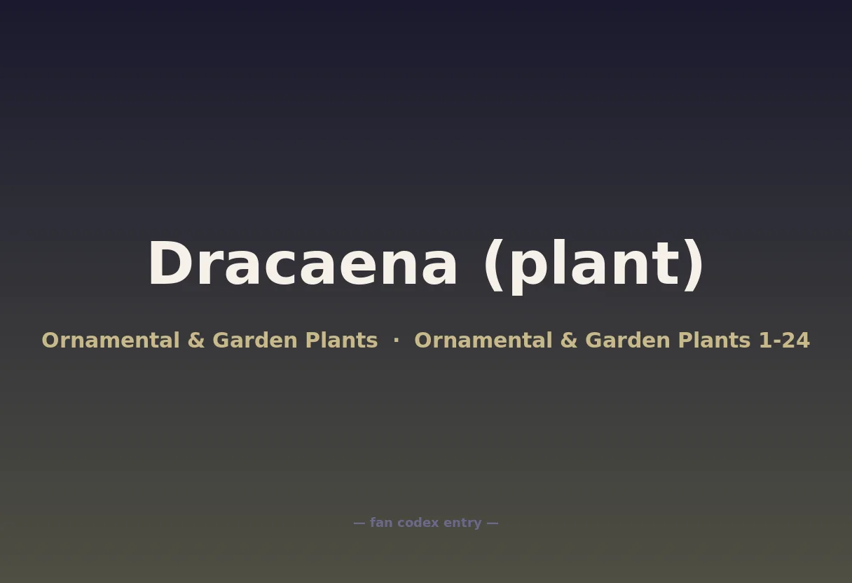 Dracaena (plant)